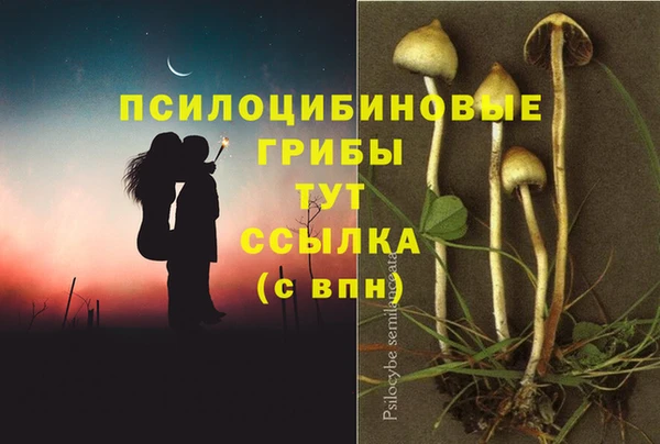 стаф Балахна