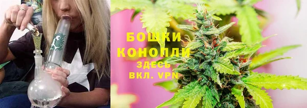 стаф Балахна