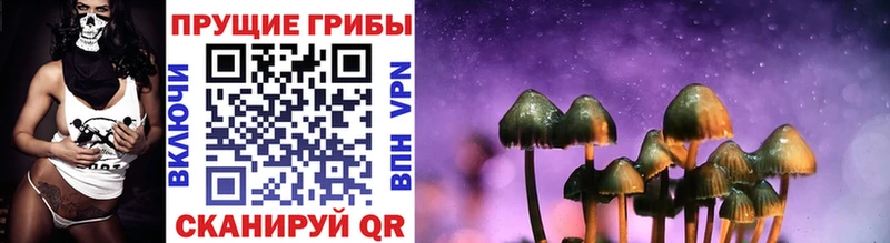 omg рабочий сайт  Урюпинск  Псилоцибиновые грибы Psilocybine cubensis 