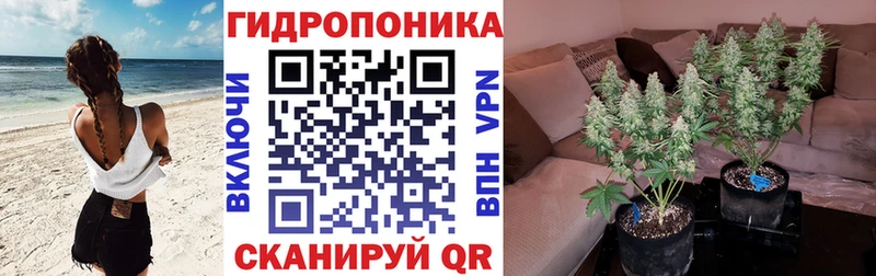 Конопля THC 21%  blacksprut как войти  Урюпинск  где можно купить наркотик 